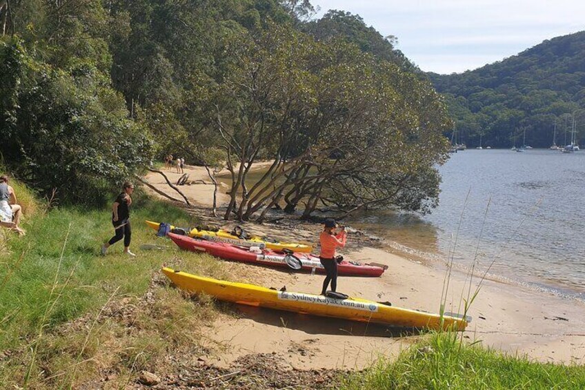 Pittwater Lunch Paddle with Waterfall Bush Walk
