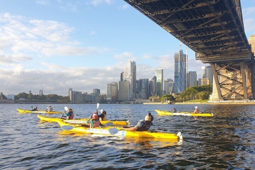 Harbour Bridge Breakfast Paddle