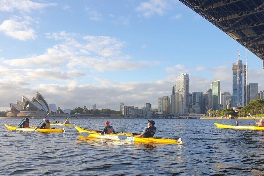 Harbour Bridge Breakfast Paddle