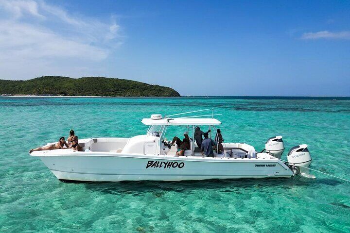 Private Snorkel and Cruise Experience in Ceiba