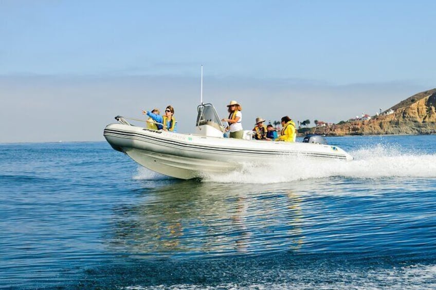 Offshore Blue Adventures Boat = 22' of fun!