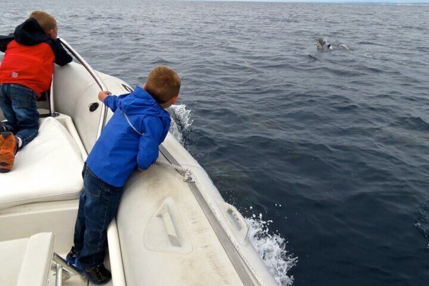 Kids love, love, love seeing dolphins up close!