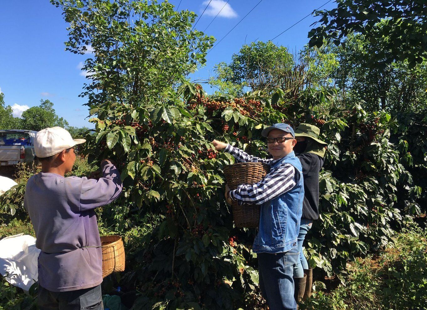 Medellín: Rich café tour