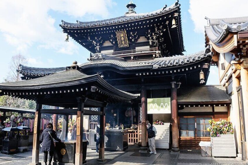 Full Day Private Tour from Kobe Port to Osaka