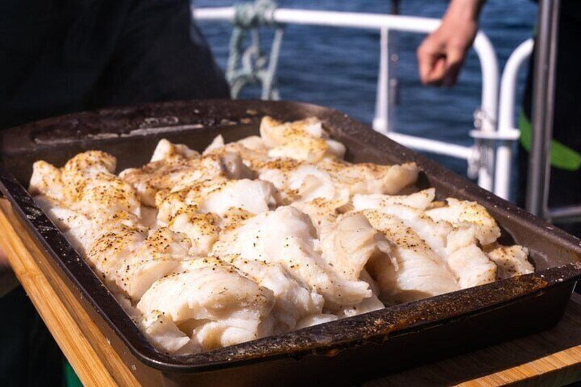 Reykjavik's Finest Catch: Guided Sea Angling Tour for All Levels