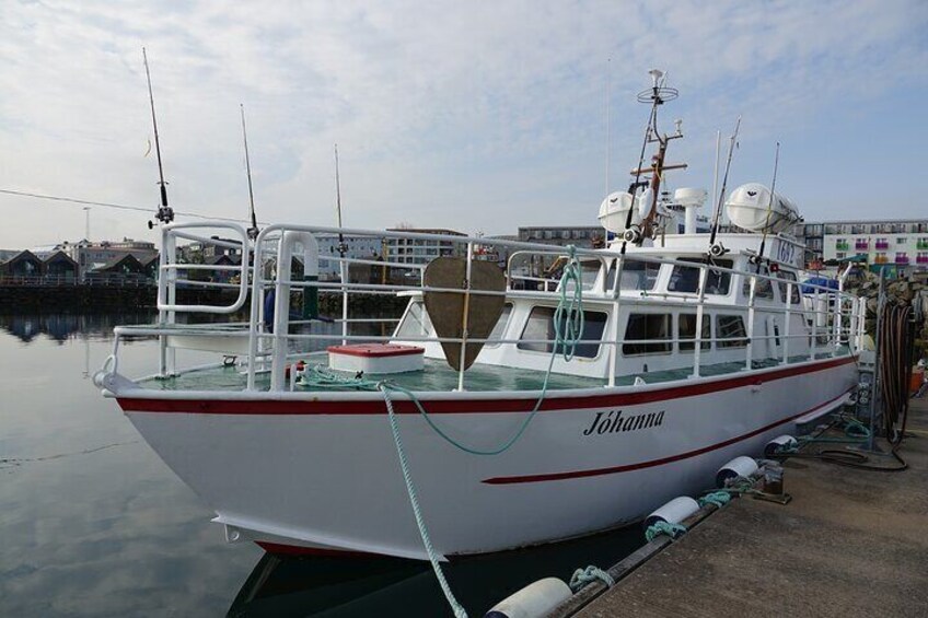 Reykjavik's Finest Catch: Guided Sea Angling Tour