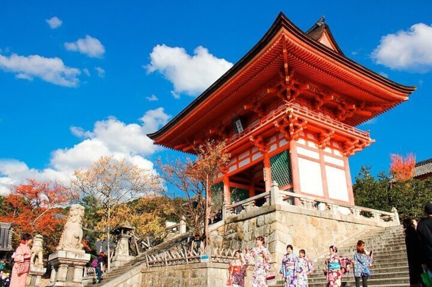 1-Full Day Private Tour of Kyoto