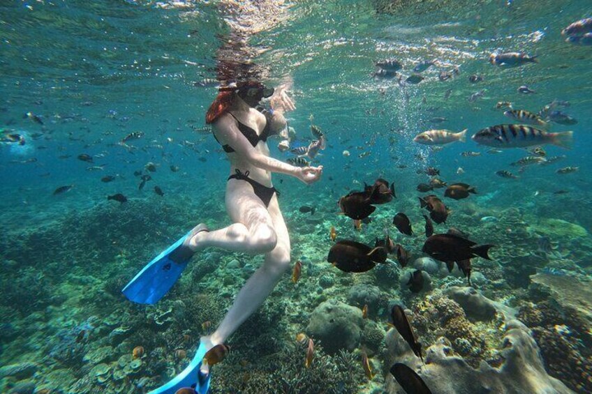 Full Day Manta Tour in Nusa Penida and Nusa Lembongan from Bali