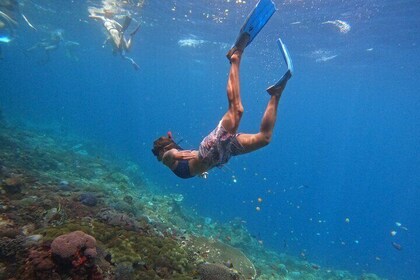 Full Day Manta Tour in Nusa Penida and Nusa Lembongan from Bali