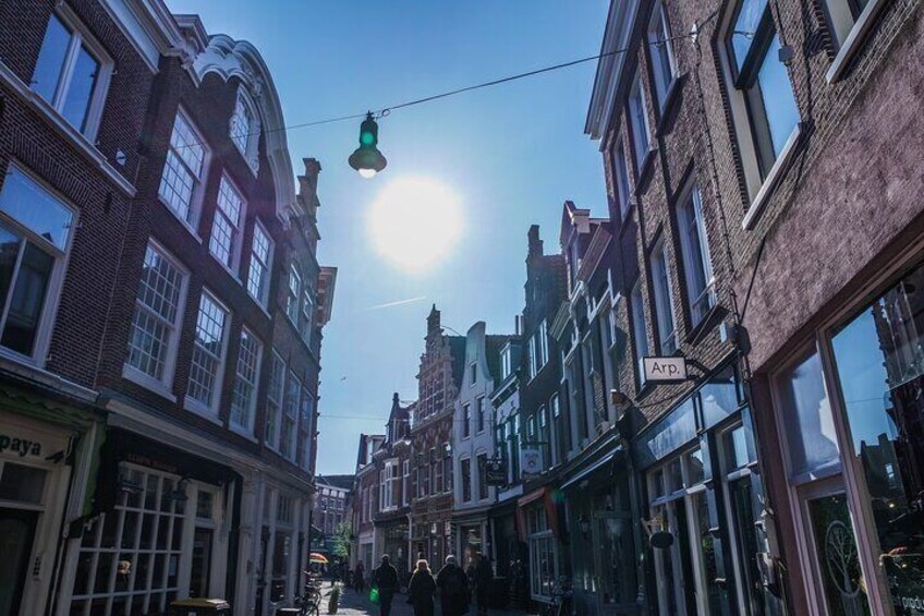 2-Hour Private History and Highlights of Haarlem Walking Tour