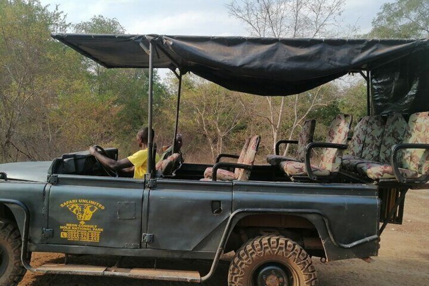 Private Full Day Elephant Safari Tour in Mole National Park Ghana