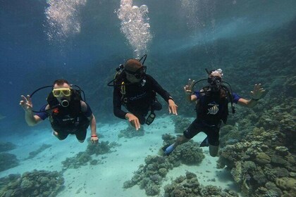 Scuba Diving Experience in Hurghada with Lunch