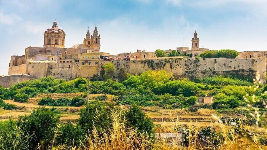 Half Day Private Tour around the Island in Malta
