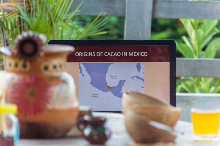 Immersive Tasting of Mexican Artisan Chocolate