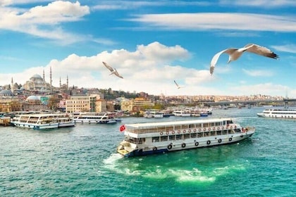  Geführte Bosporus-Kreuzfahrt am Morgen oder bei Sonnenuntergang