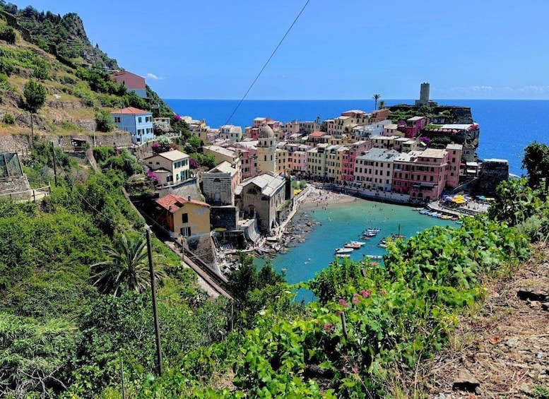 Picture 10 for Activity Pisa, Cinque Terre & Tuscany in 2 Days