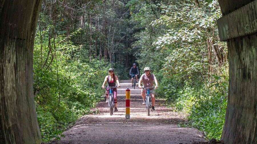 Appraoching the 520M long tunnel where the Glow Worms live.