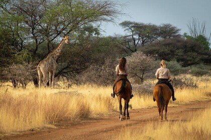 Exhilarating Horseback Safari Departing from Johannesburg