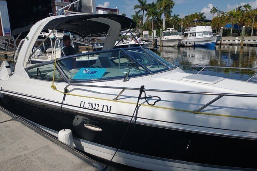 Private Guided Dolphin Sightseeing Cruise in St. Petersburg