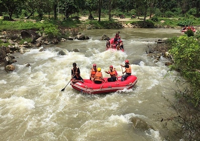Krabi : Rafting en eaux vives, cascade et temple des singes