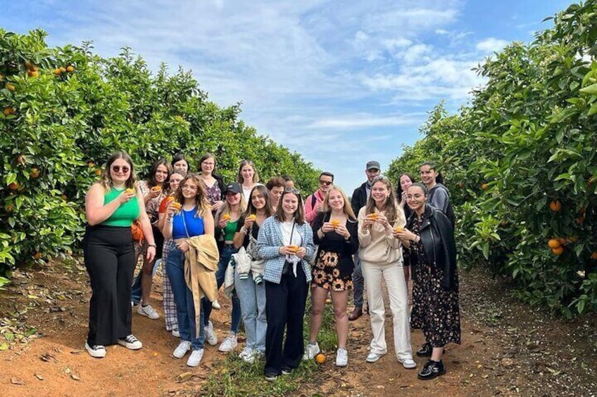 citrus tasting