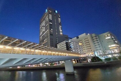 Yokohama private tour -Night View-