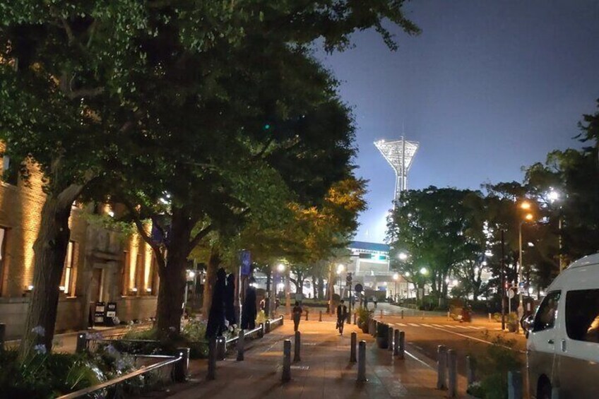 Half Day Yokohama Summer Dusk Private Tour