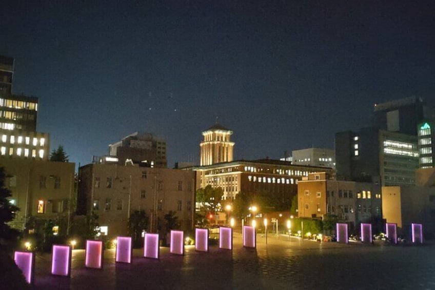 Half Day Yokohama Summer Dusk Private Tour