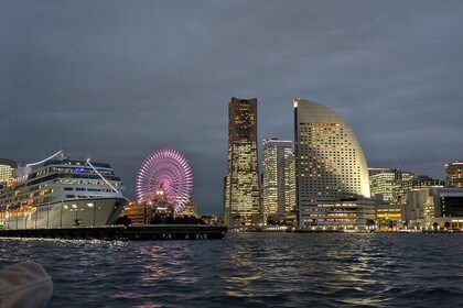 Yokohama private tour -Night View-