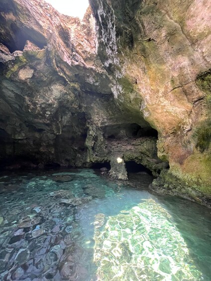 Picture 6 for Activity Polignano: Guided Coastline & Caves Cruise with Swim Break