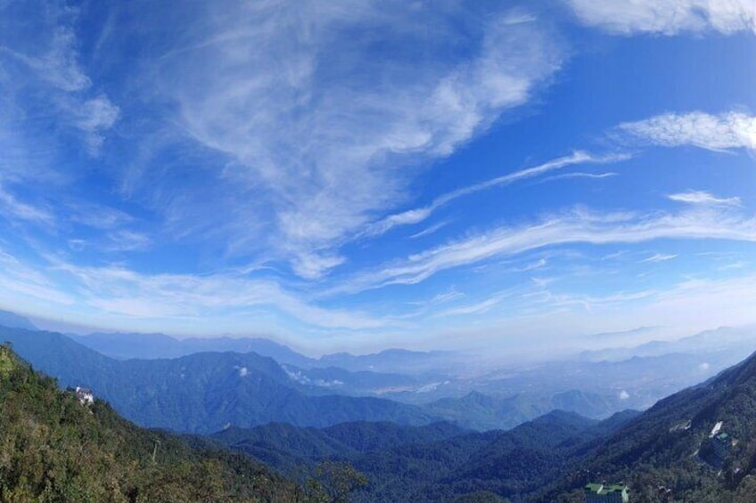 forest view