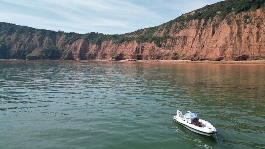 Guided Babbacombe Bay Boat Tour in Exmouth