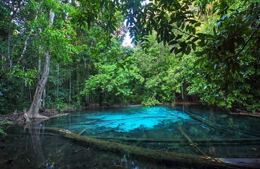 Krabi: Full-Day Jungle Cycling and Emerald Pool Tour