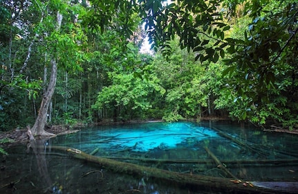 Krabi: Hele dag fietsen in de jungle en Emerald Pool Tour
