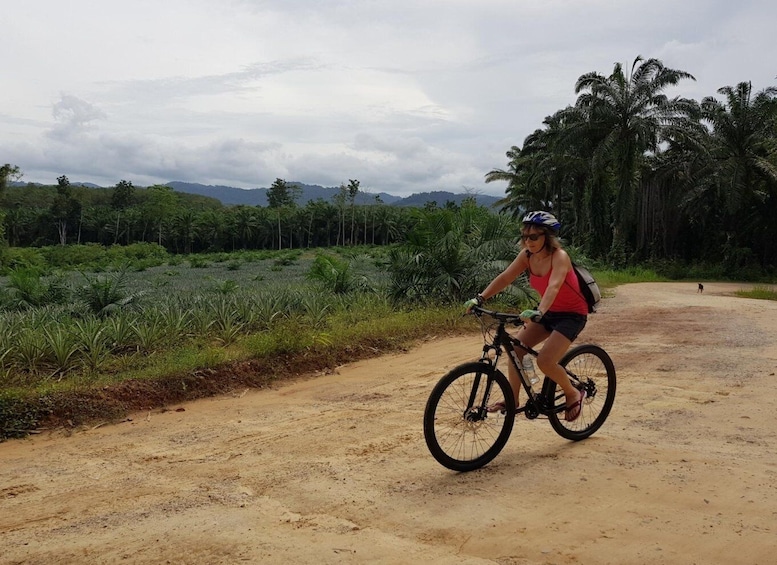 Picture 8 for Activity Krabi: Full-Day Jungle Cycling and Emerald Pool Tour