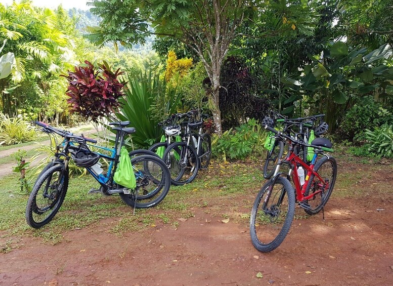 Picture 10 for Activity Krabi: Full-Day Jungle Cycling and Emerald Pool Tour