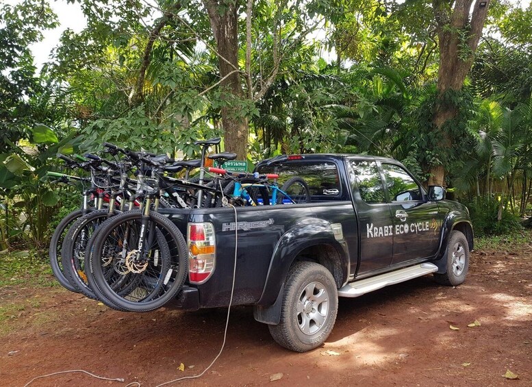 Picture 9 for Activity Krabi: Full-Day Jungle Cycling and Emerald Pool Tour