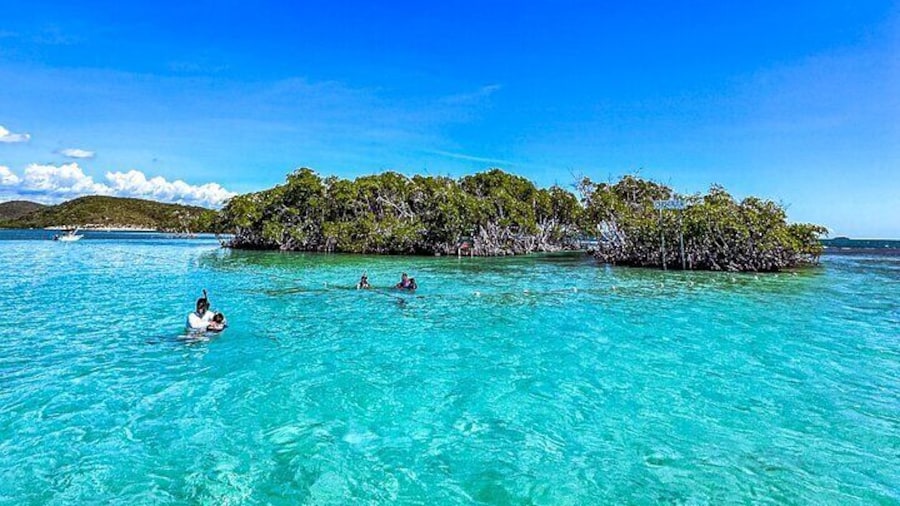 La Parguera Private Boat Charter