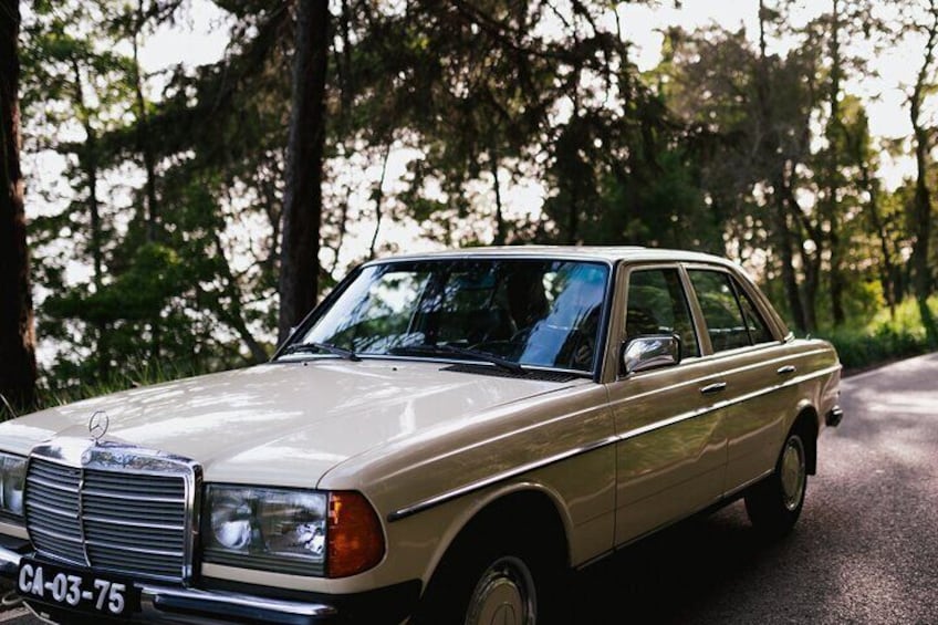 The W123 is revered for being one of the most reliable models of all-time