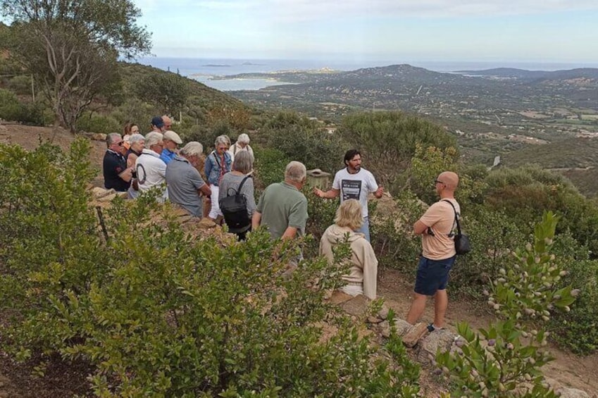 Olbia: visit a myrtle-making factory with tasting