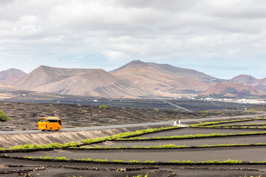 Lanzarote Tour with Timanfaya National Park and El Golfo