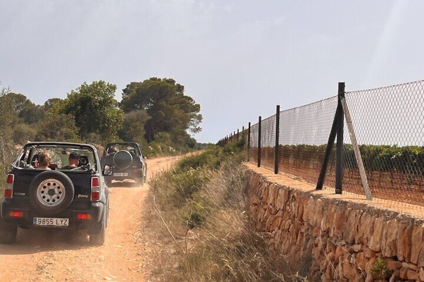 Self Drive 4x4 Off Road Jeepsafari Tour Mallorca