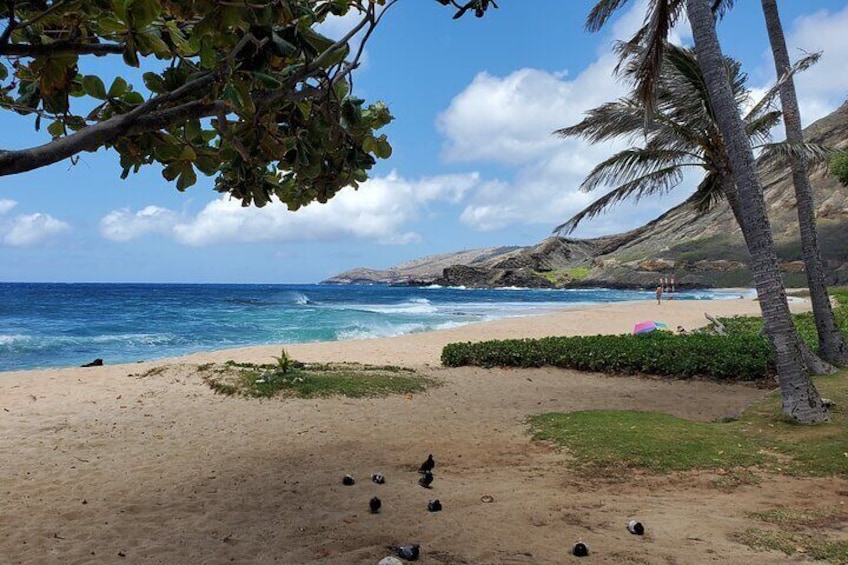 Full Day Private Guided Tour in Circle Oahu Island