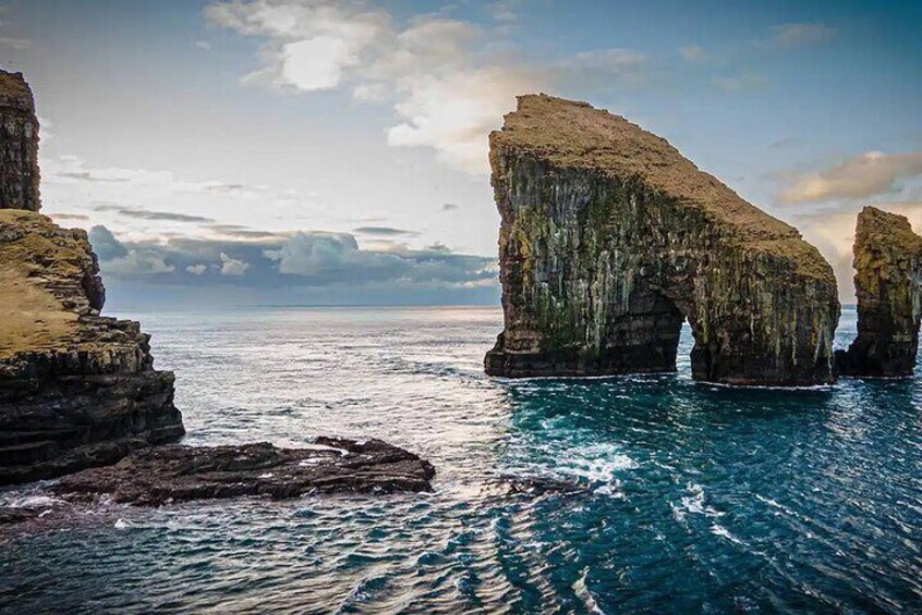 Puffin Safari Boat Tour