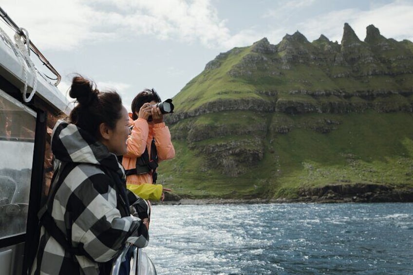 Puffin Safari Boat Tour