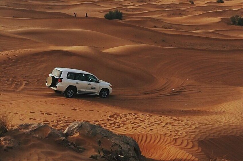 Private Half-Day Guided Desert Safari Tour 