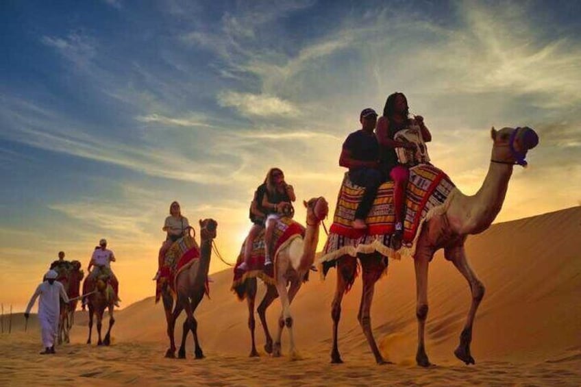 Doha Private Half-Day Guided Desert Safari Tour