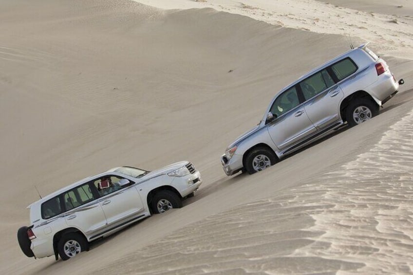 Private Half-Day Guided Desert Safari Tour 