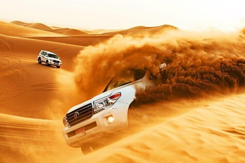 Private Half-Day Guided Desert Safari Tour 