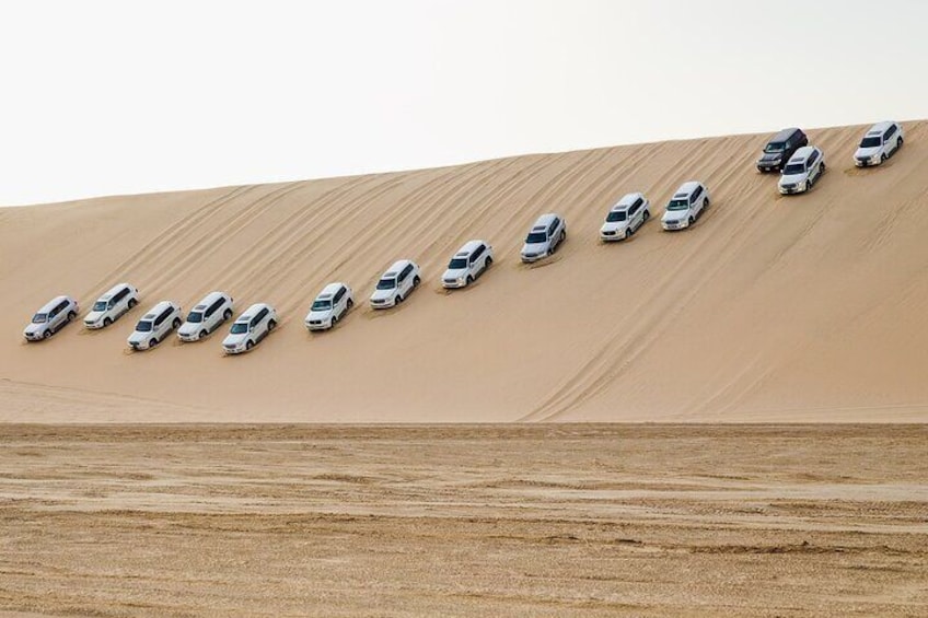 Private Half-Day Guided Desert Safari Tour 